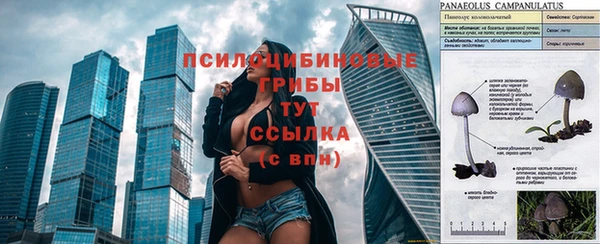 амф Арсеньев